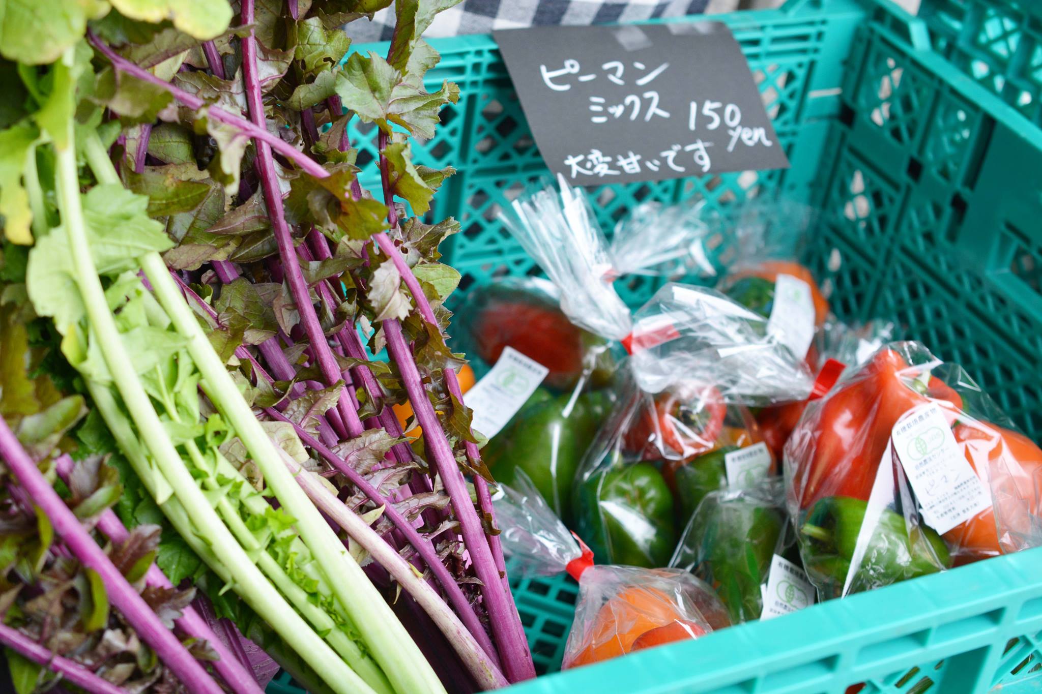 無農薬野菜各種取り揃え