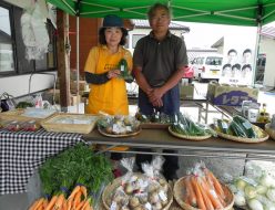 有機栽培の野菜のテント直売会