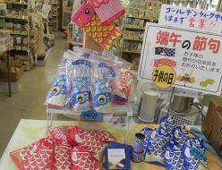 売り場にあるこいのぼり